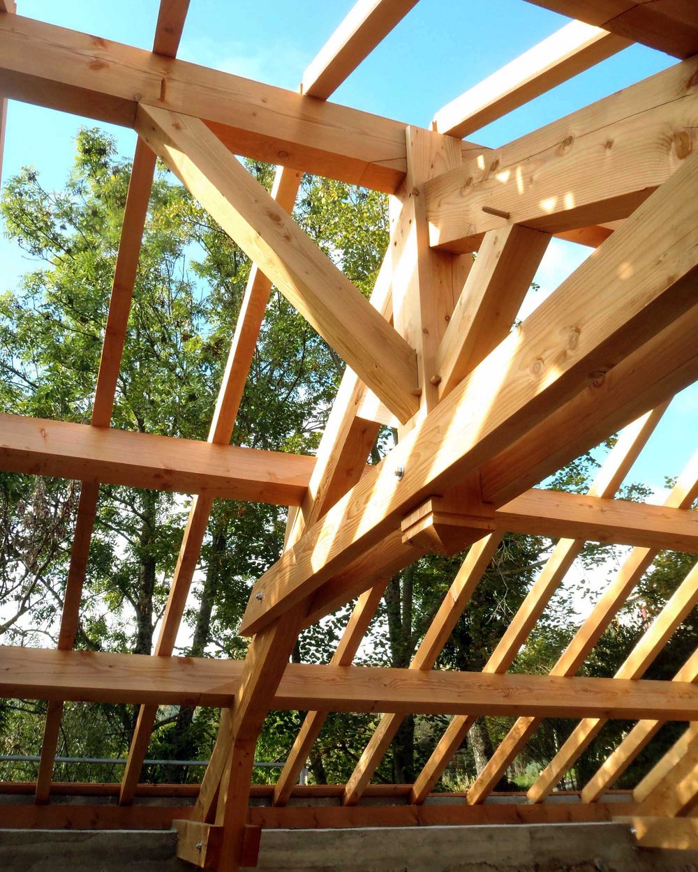 Assemblages de charpente en bois, tenons chevillés, vus depuis l'intérieur du bâtiment